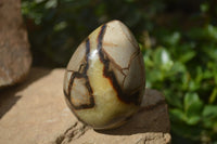 Polished Septerye Eggs x 3 From Mahajanga, Madagascar - Toprock Gemstones and Minerals 