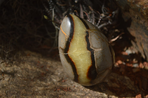 Polished Septerye Eggs x 3 From Mahajanga, Madagascar - Toprock Gemstones and Minerals 