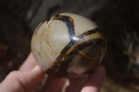 Polished Septerye Eggs x 3 From Mahajanga, Madagascar - Toprock Gemstones and Minerals 