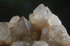 Natural Smokey Phantom Quartz Clusters x 2 From Luena, Congo - Toprock Gemstones and Minerals 