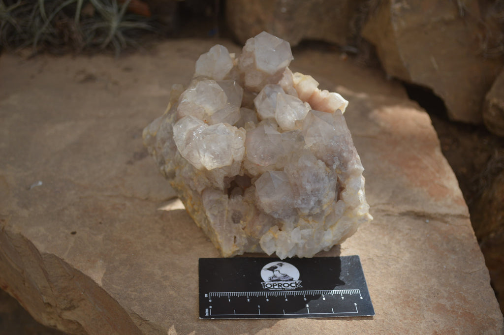 Natural Smokey Phantom Quartz Clusters x 2 From Luena, Congo - Toprock Gemstones and Minerals 