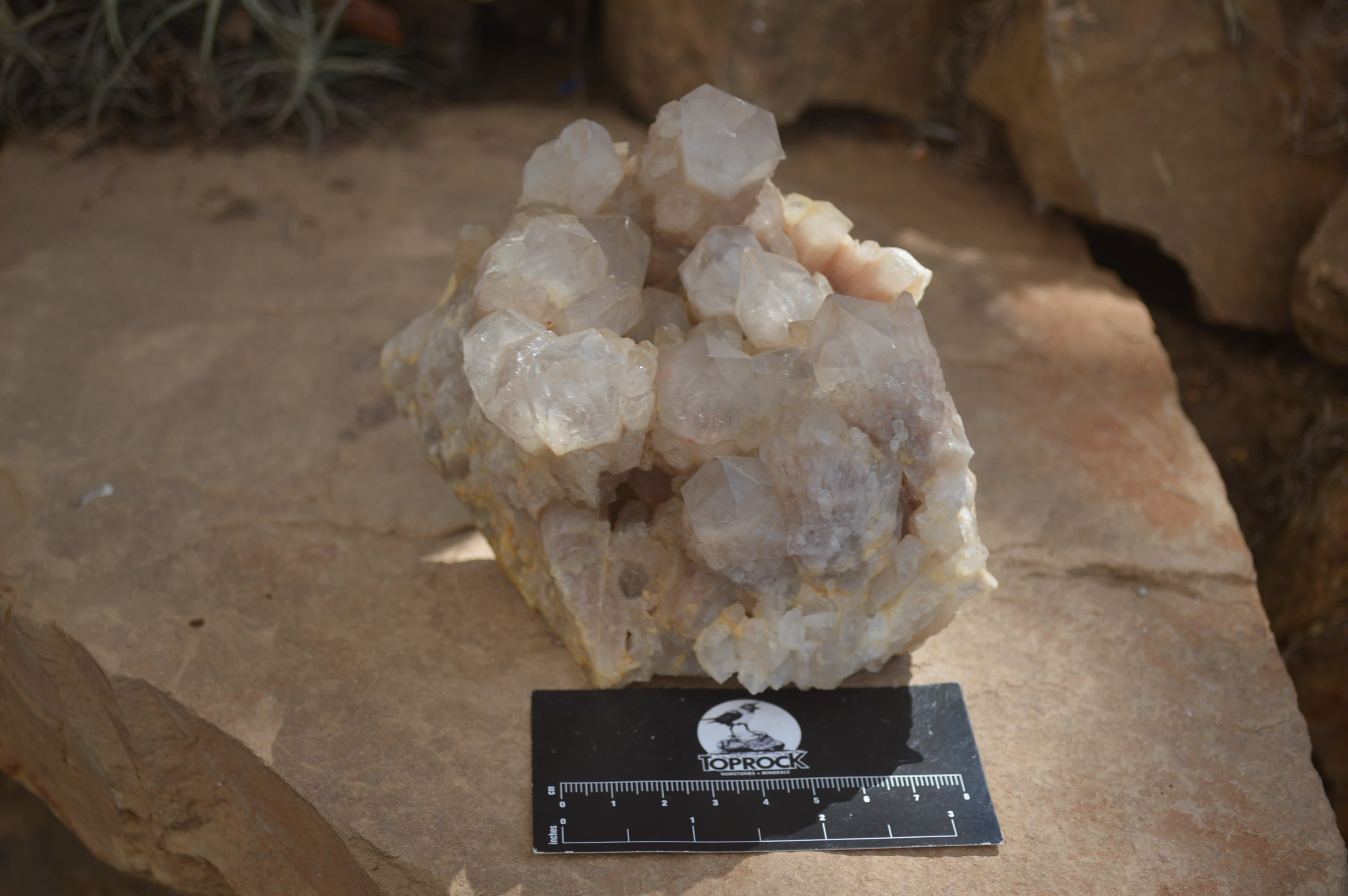Natural Smokey Phantom Quartz Clusters x 2 From Luena, Congo - Toprock Gemstones and Minerals 