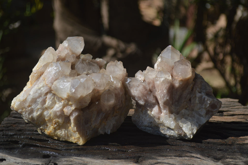 Natural Smokey Phantom Quartz Clusters x 2 From Luena, Congo - Toprock Gemstones and Minerals 