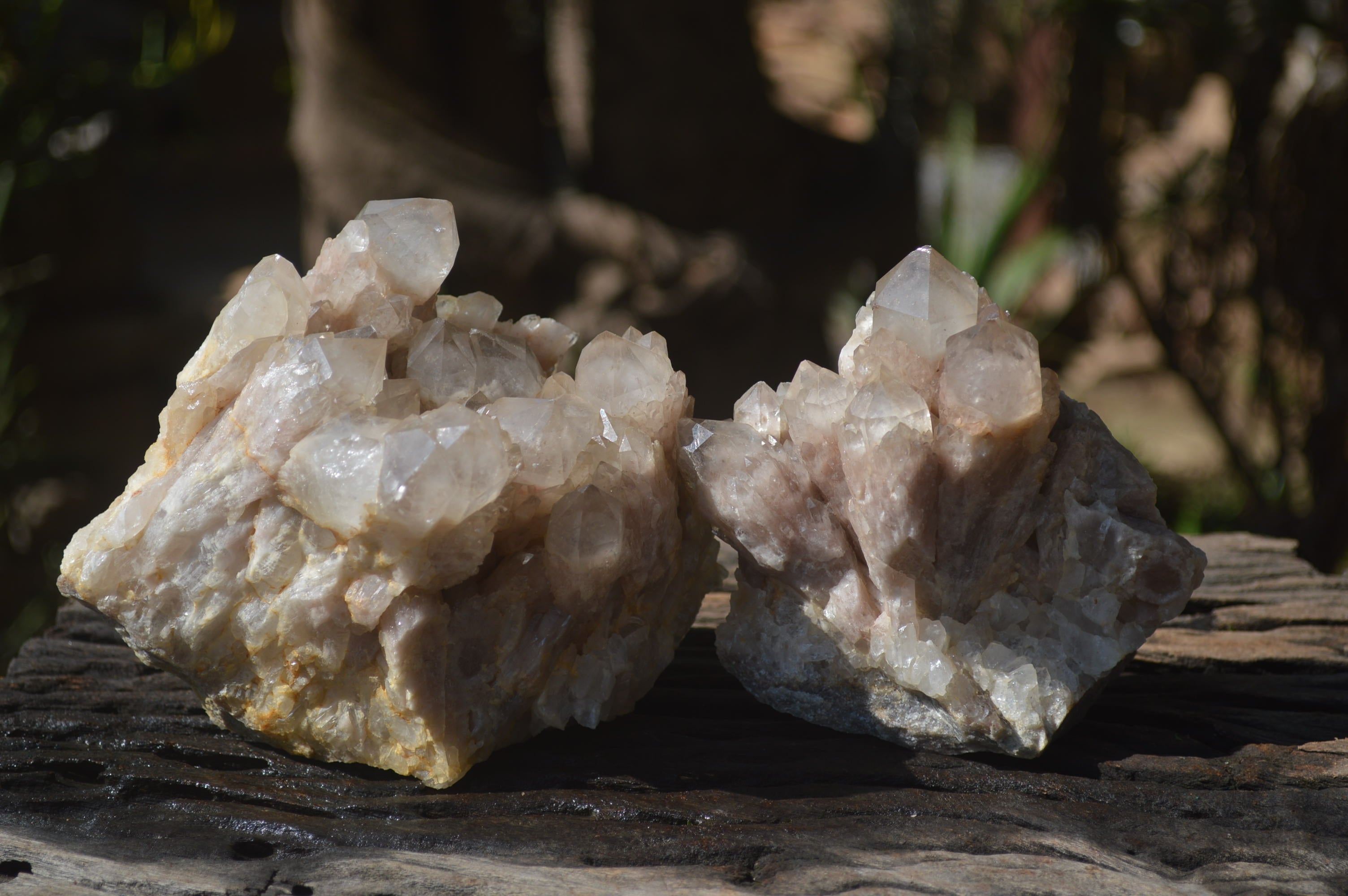 Natural Smokey Phantom Quartz Clusters x 2 From Luena, Congo - Toprock Gemstones and Minerals 