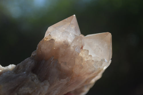 Natural Smokey Phantom Quartz Clusters x 2 From Luena, Congo - Toprock Gemstones and Minerals 
