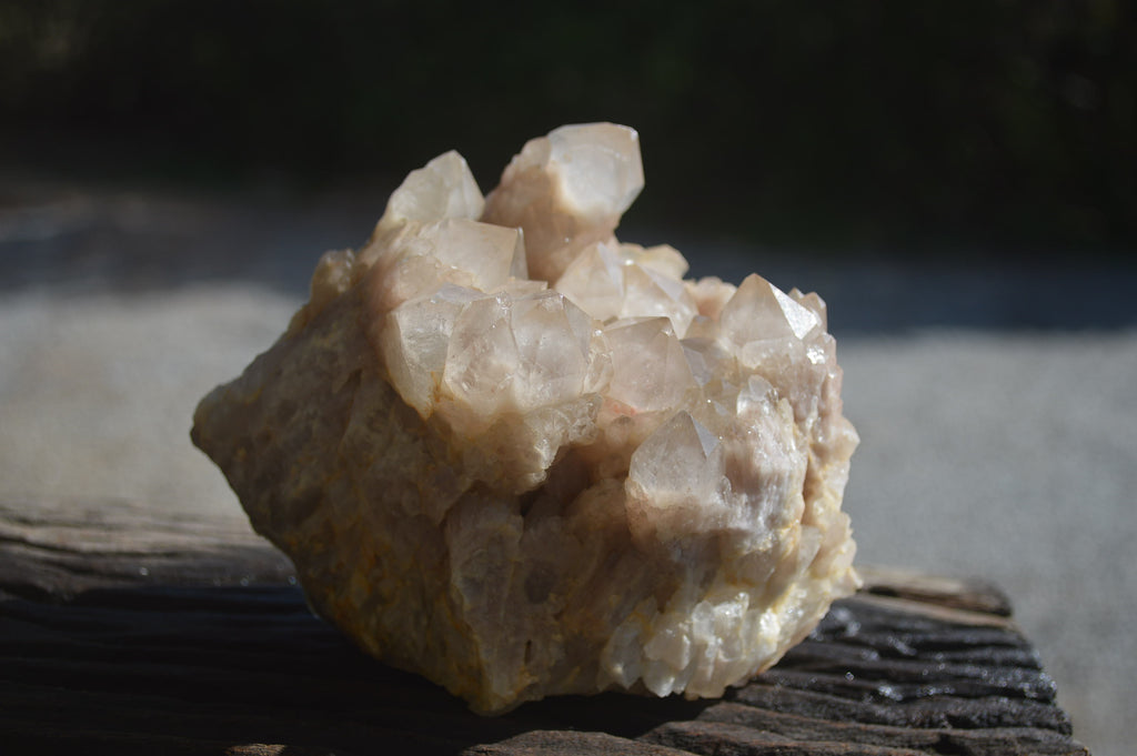 Natural Smokey Phantom Quartz Clusters x 2 From Luena, Congo - Toprock Gemstones and Minerals 