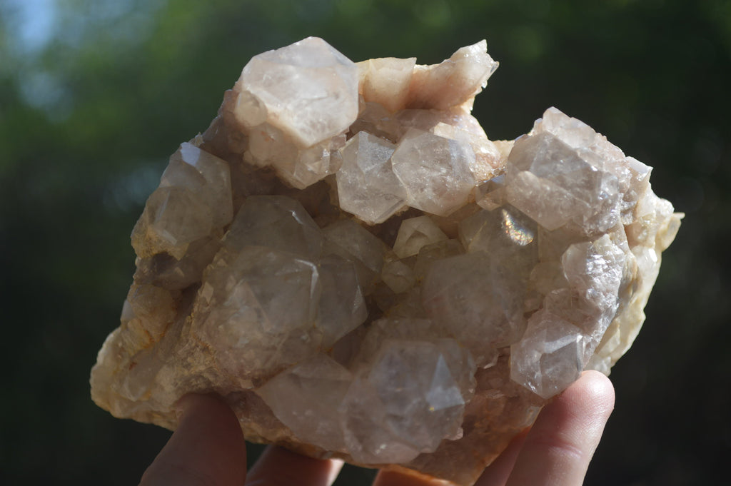 Natural Smokey Phantom Quartz Clusters x 2 From Luena, Congo - Toprock Gemstones and Minerals 