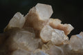 Natural Smokey Phantom Quartz Clusters x 2 From Luena, Congo - Toprock Gemstones and Minerals 