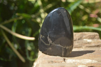 Polished Rare Pharaoh Stone Pyrite in Basalt Standing Free Forms x 6 Iron Duke Mine, Zimbabwe - Toprock Gemstones and Minerals 