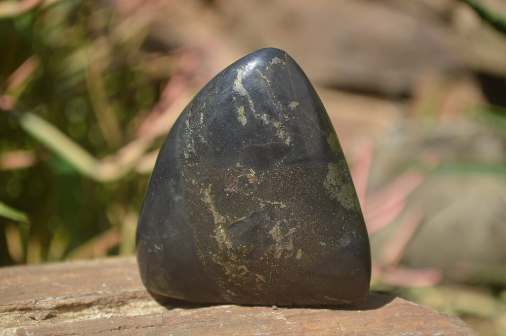 Polished Rare Pharaoh Stone Pyrite in Basalt Standing Free Forms x 6 Iron Duke Mine, Zimbabwe - Toprock Gemstones and Minerals 