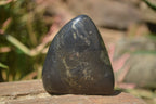 Polished Rare Pharaoh Stone Pyrite in Basalt Standing Free Forms x 6 Iron Duke Mine, Zimbabwe - Toprock Gemstones and Minerals 