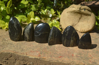 Polished Rare Pharaoh Stone Pyrite in Basalt Standing Free Forms x 6 Iron Duke Mine, Zimbabwe - Toprock Gemstones and Minerals 