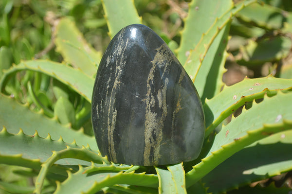 Polished Rare Pharaoh Stone Pyrite in Basalt Standing Free Forms x 6 Iron Duke Mine, Zimbabwe - Toprock Gemstones and Minerals 