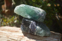 Natural Watermelon Fluorite Cobbed Specimens x 6 From Uis, Namibia - Toprock Gemstones and Minerals 