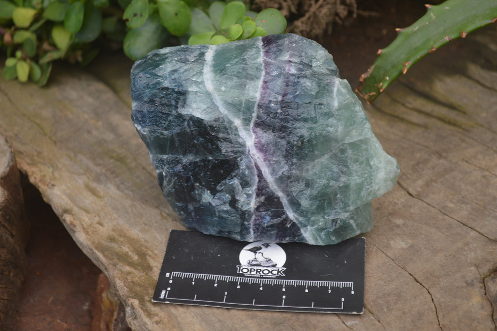 Natural Watermelon Fluorite Cobbed Specimens x 6 From Uis, Namibia - Toprock Gemstones and Minerals 