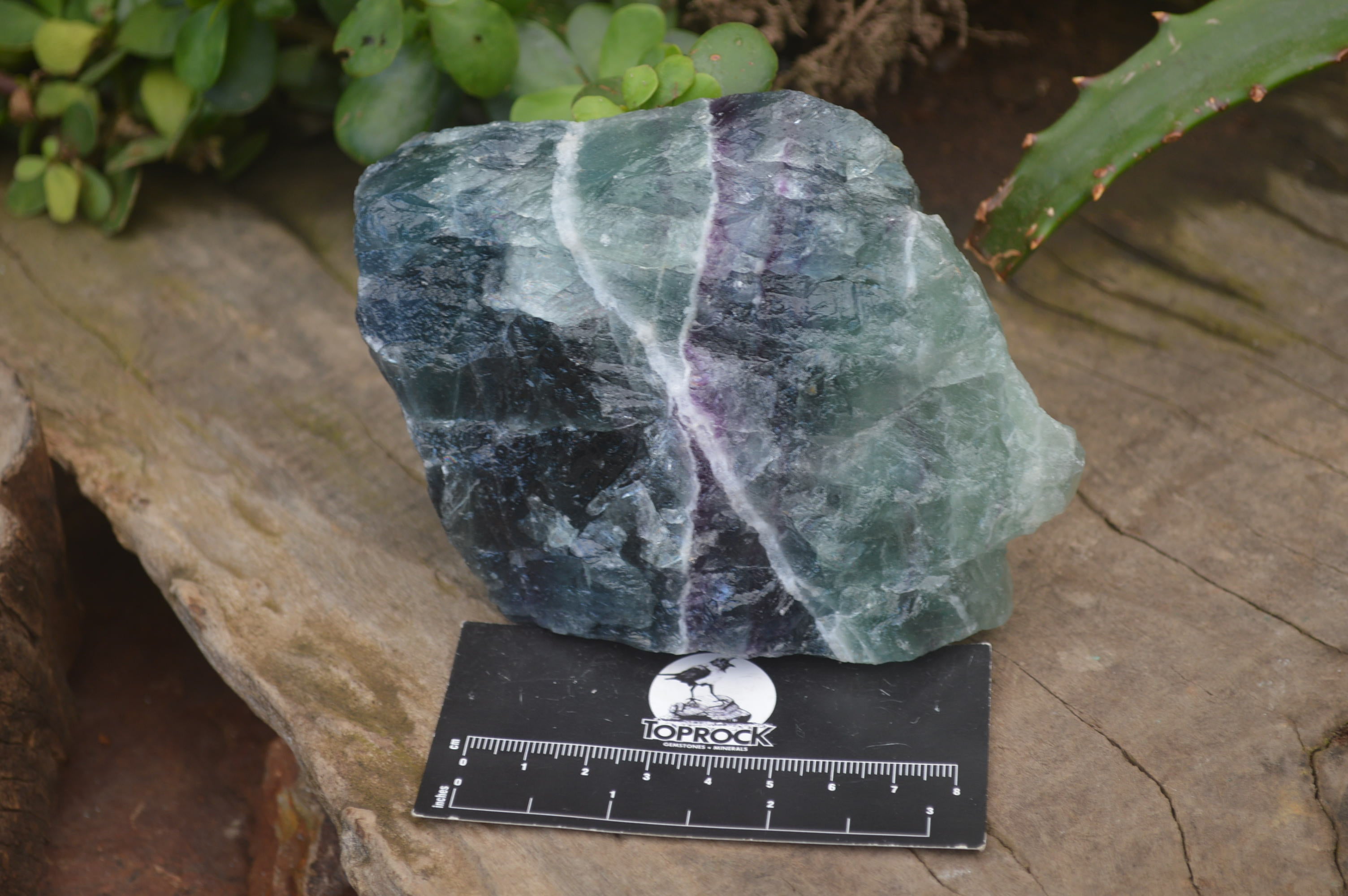 Natural Watermelon Fluorite Cobbed Specimens x 6 From Uis, Namibia - Toprock Gemstones and Minerals 