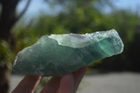 Natural Watermelon Fluorite Cobbed Specimens x 6 From Uis, Namibia - Toprock Gemstones and Minerals 