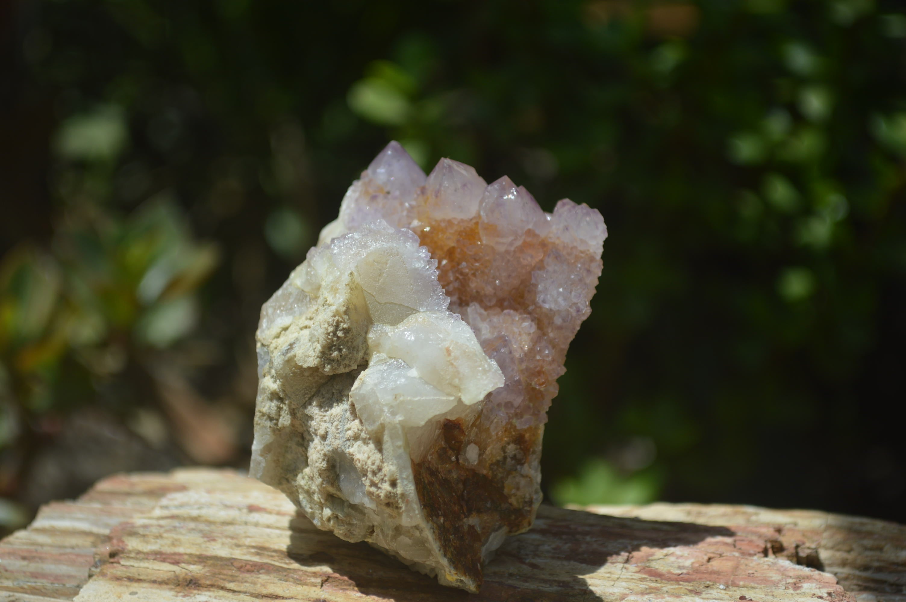 Natural Ametrine Spirit Quartz Clusters x 4 From Boekenhouthoek, South Africa - Toprock Gemstones and Minerals 