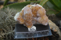 Natural Ametrine Spirit Quartz Clusters x 4 From Boekenhouthoek, South Africa