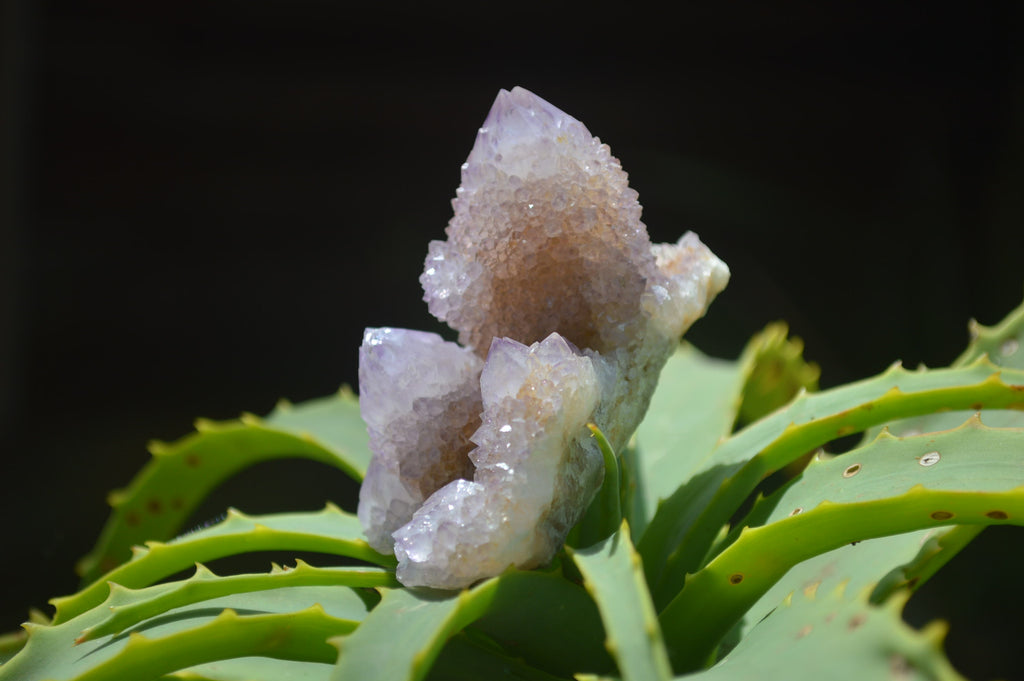 Natural Ametrine Spirit Quartz Clusters x 4 From Boekenhouthoek, South Africa - Toprock Gemstones and Minerals 