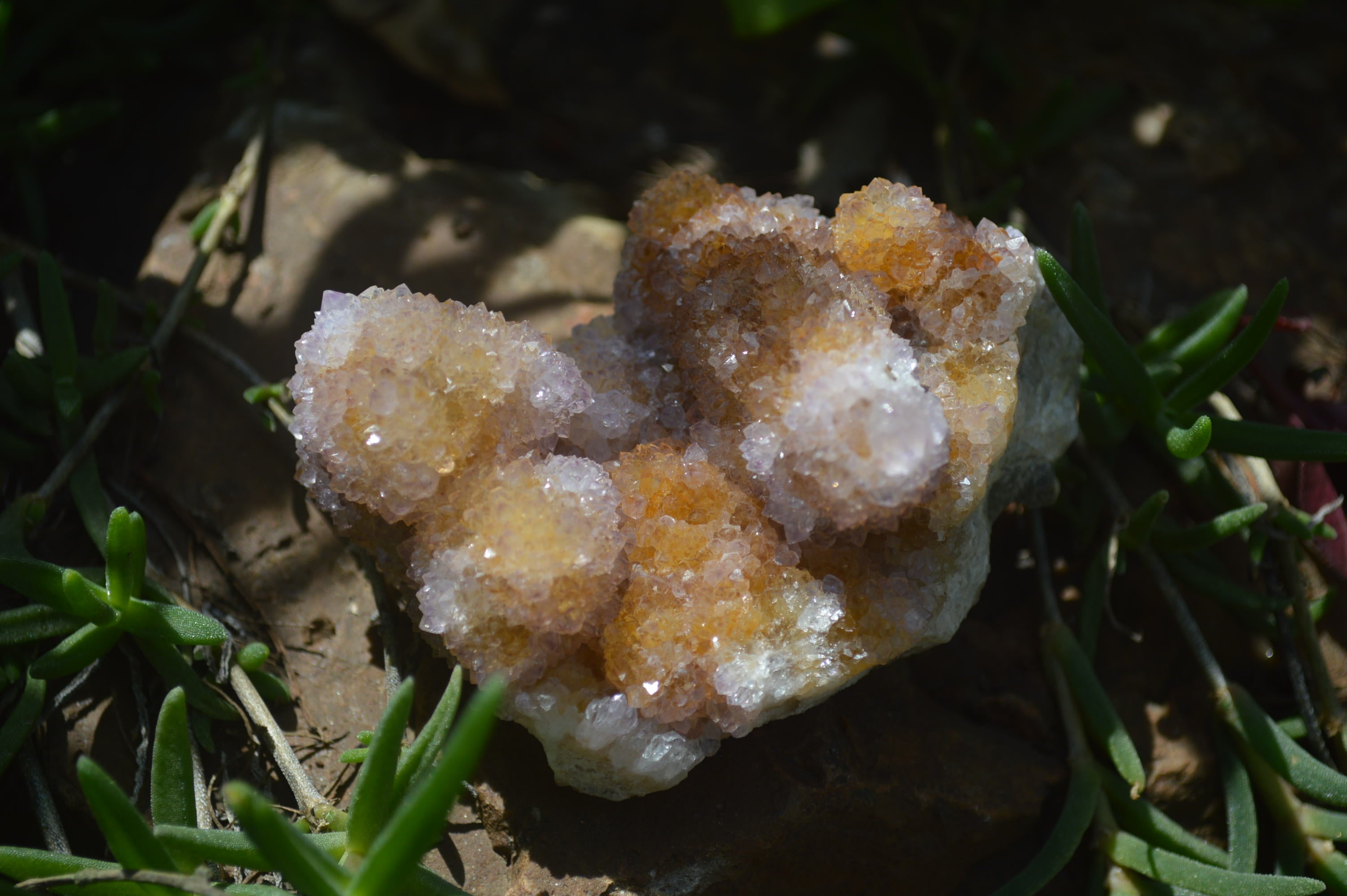 Natural Ametrine Spirit Quartz Clusters x 4 From Boekenhouthoek, South Africa - Toprock Gemstones and Minerals 