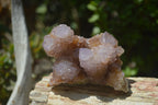Natural Ametrine Spirit Quartz Clusters x 4 From Boekenhouthoek, South Africa - Toprock Gemstones and Minerals 