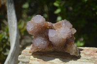 Natural Ametrine Spirit Quartz Clusters x 4 From Boekenhouthoek, South Africa