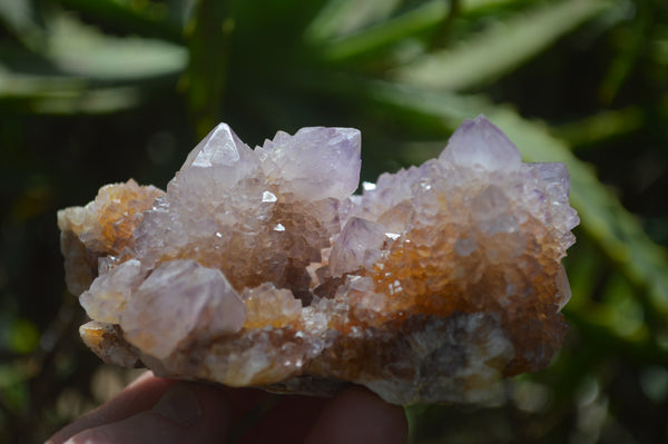 Natural Ametrine Spirit Quartz Clusters x 4 From Boekenhouthoek, South Africa