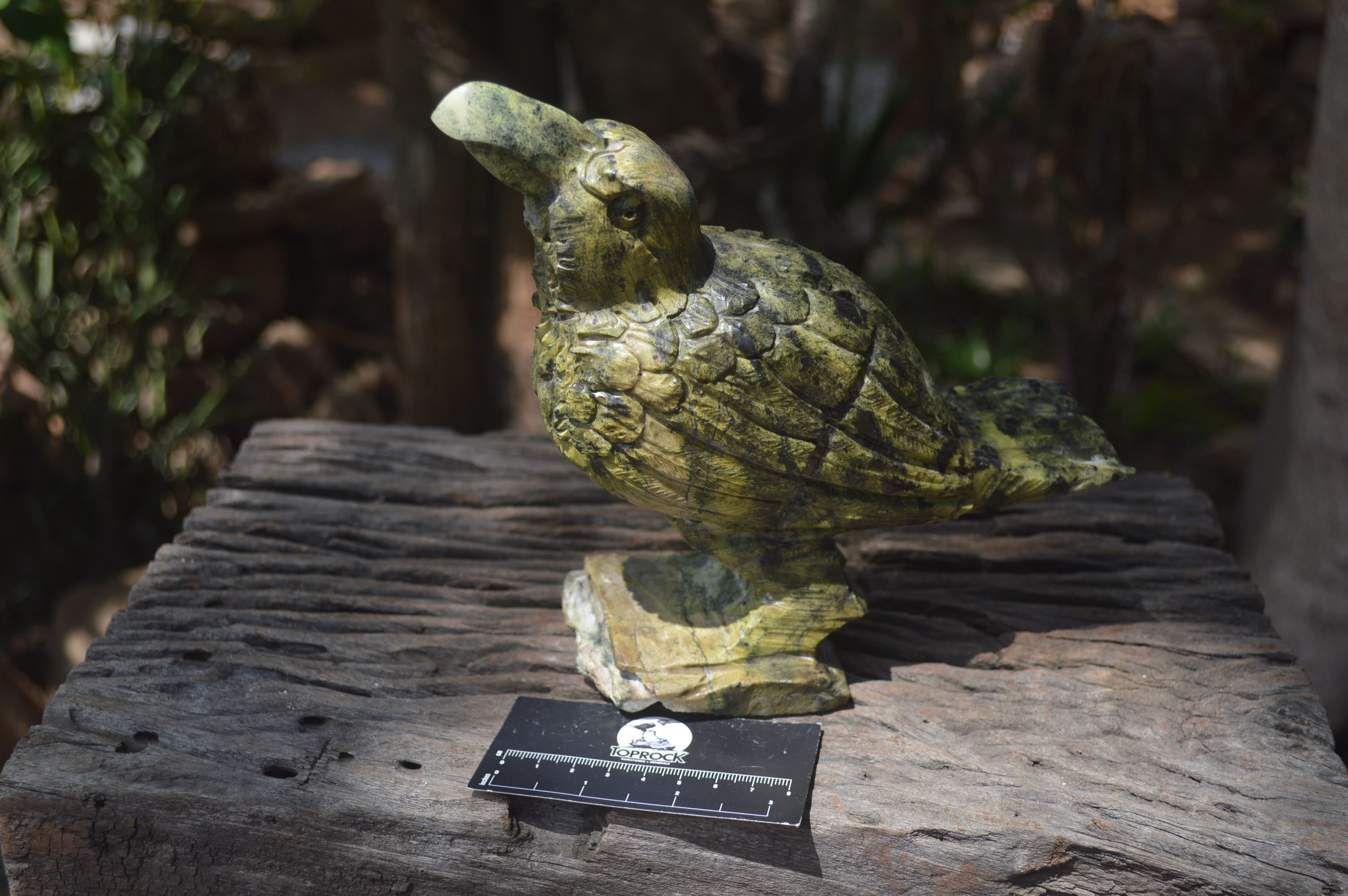 Polished Leopard Stone Raven Carving x 1 from Zimbabwe - Toprock Gemstones and Minerals 