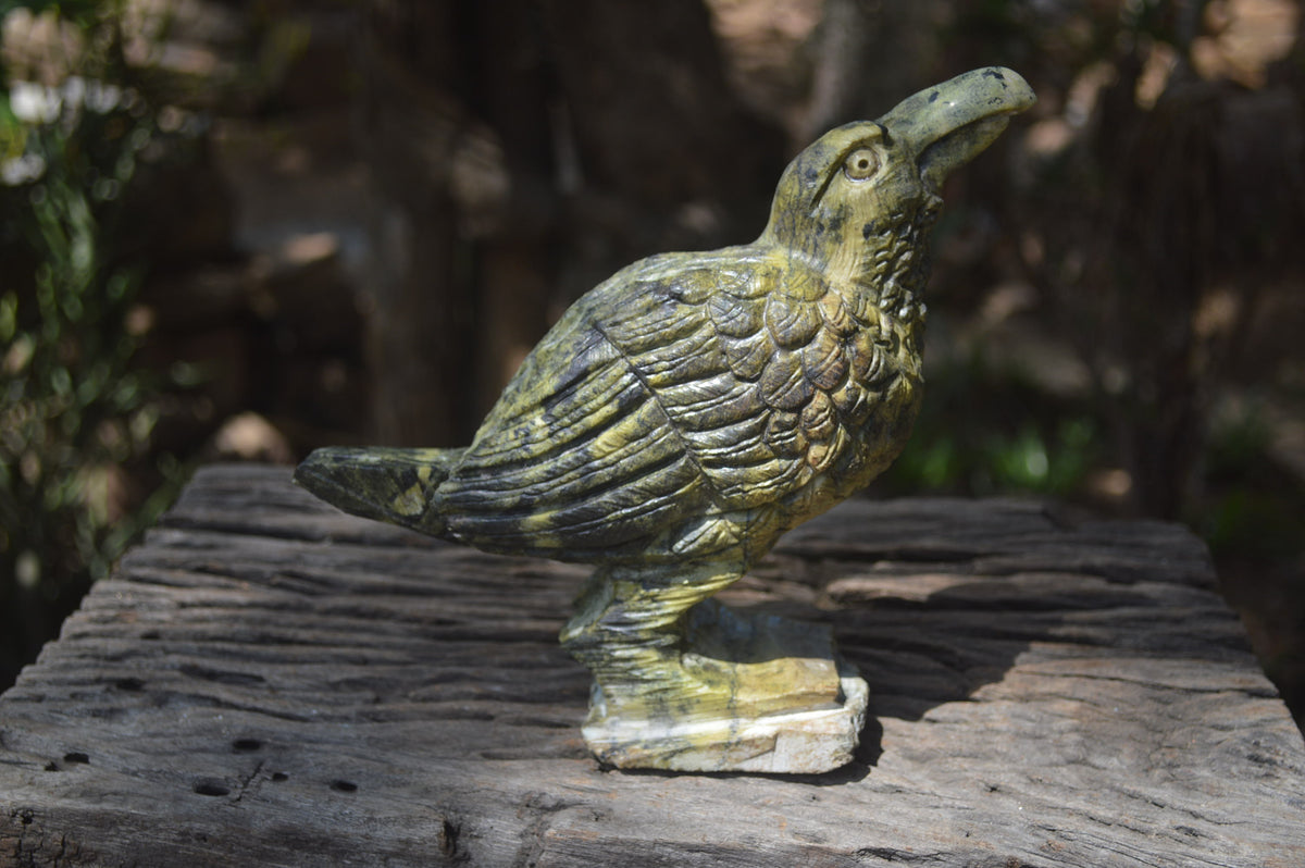 Polished Leopard Stone Raven Carving x 1 from Zimbabwe - Toprock Gemstones and Minerals 