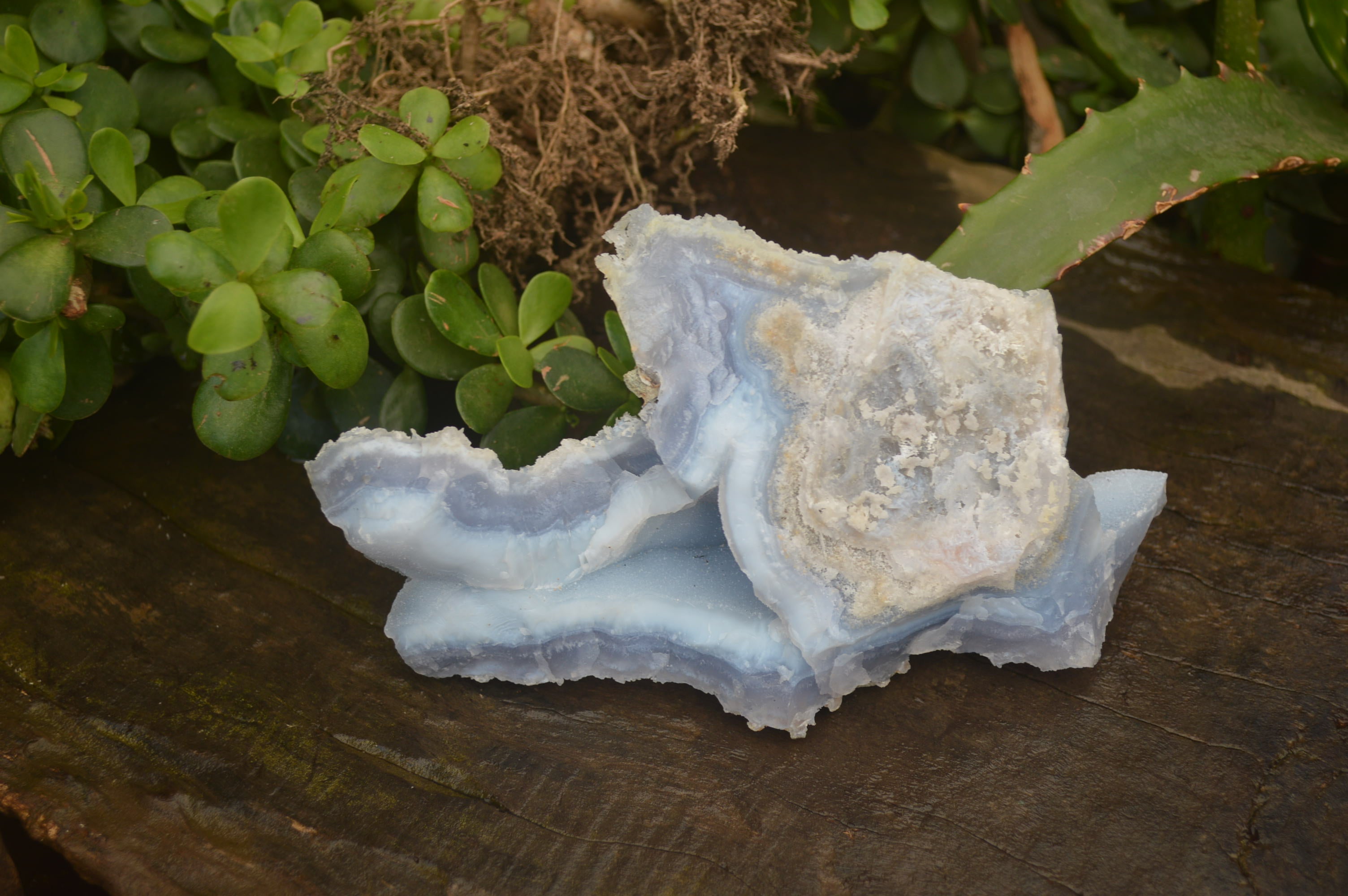Natural Etched Blue Chalcedony Specimens x 2 From Nsanje, Malawi - Toprock Gemstones and Minerals 