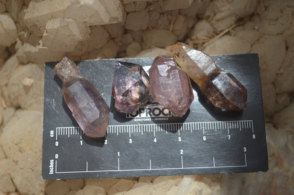 Natural Smokey Window Amethyst Crystals x 70 From Chiredzi, Zimbabwe - Toprock Gemstones and Minerals 