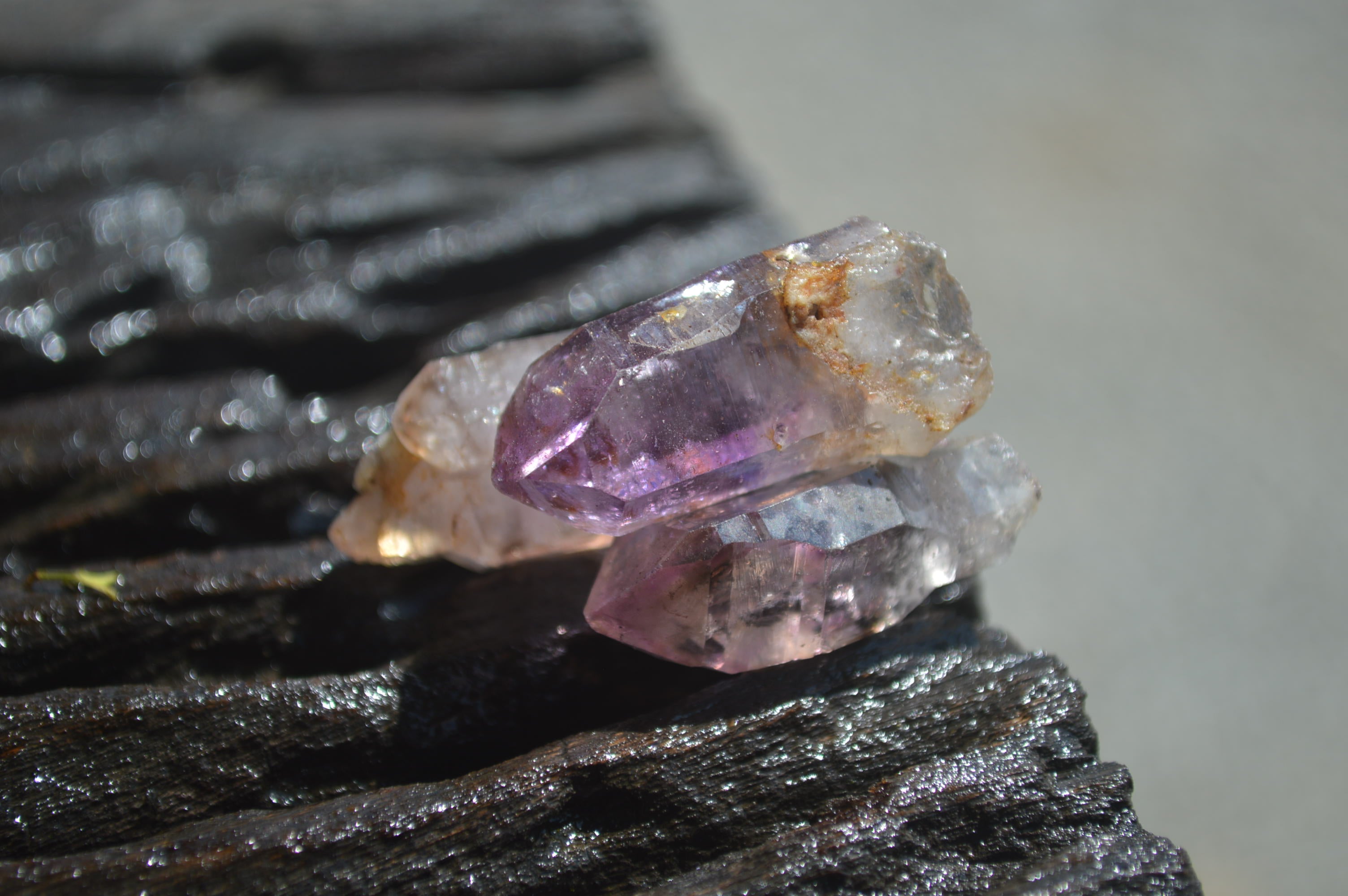 Natural Smokey Window Amethyst Crystals x 70 From Chiredzi, Zimbabwe - Toprock Gemstones and Minerals 