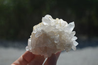 Natural Small Quartz Clusters x 13 from Madagascar - Toprock Gemstones and Minerals 