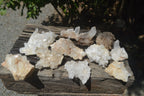 Natural Small Quartz Clusters x 13 from Madagascar - Toprock Gemstones and Minerals 