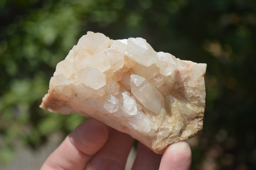 Natural Small Quartz Clusters x 13 from Madagascar - Toprock Gemstones and Minerals 