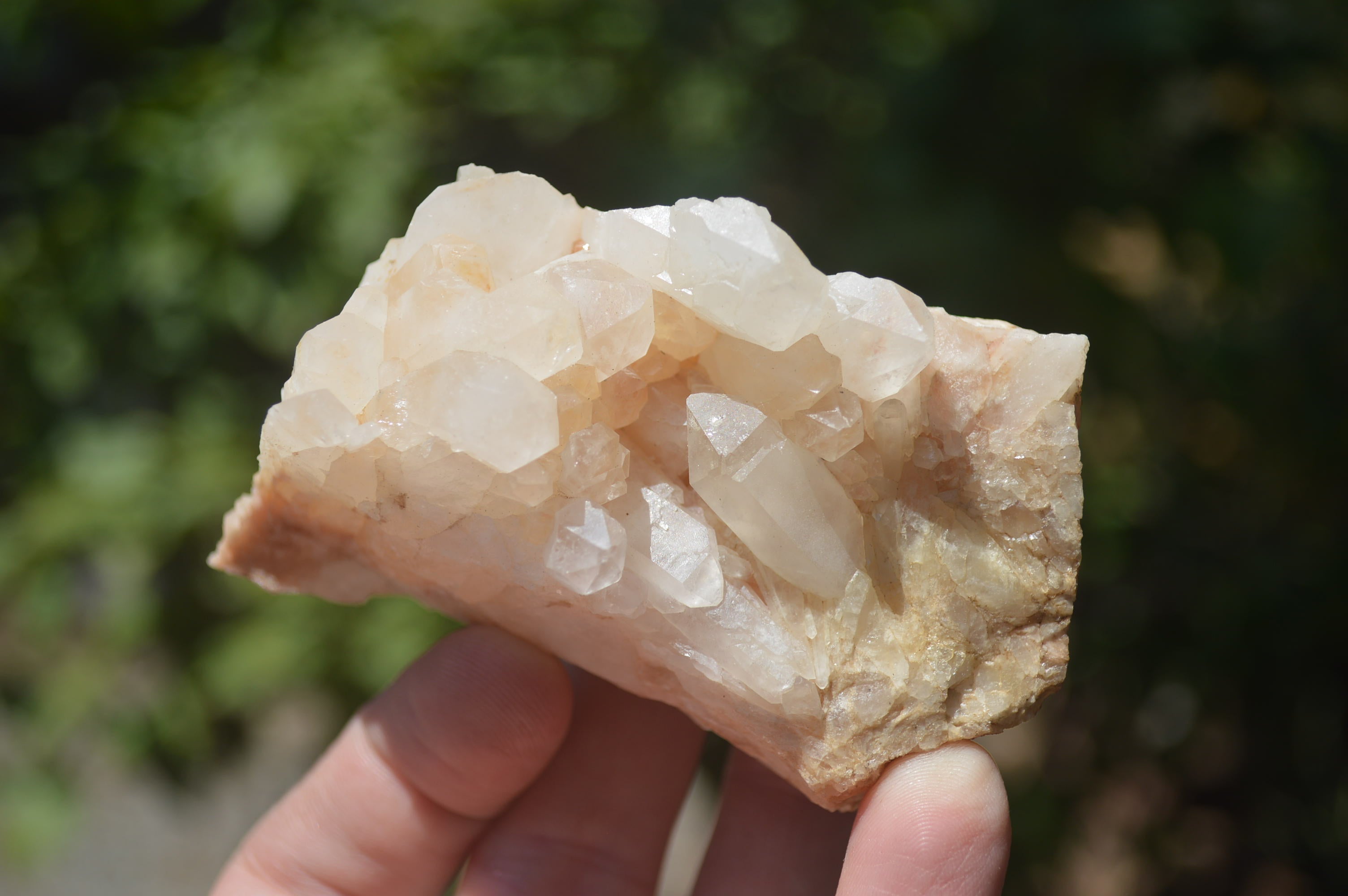 Natural Small Quartz Clusters x 13 from Madagascar - Toprock Gemstones and Minerals 