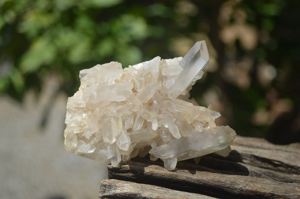 Natural Small Quartz Clusters x 13 from Madagascar - Toprock Gemstones and Minerals 