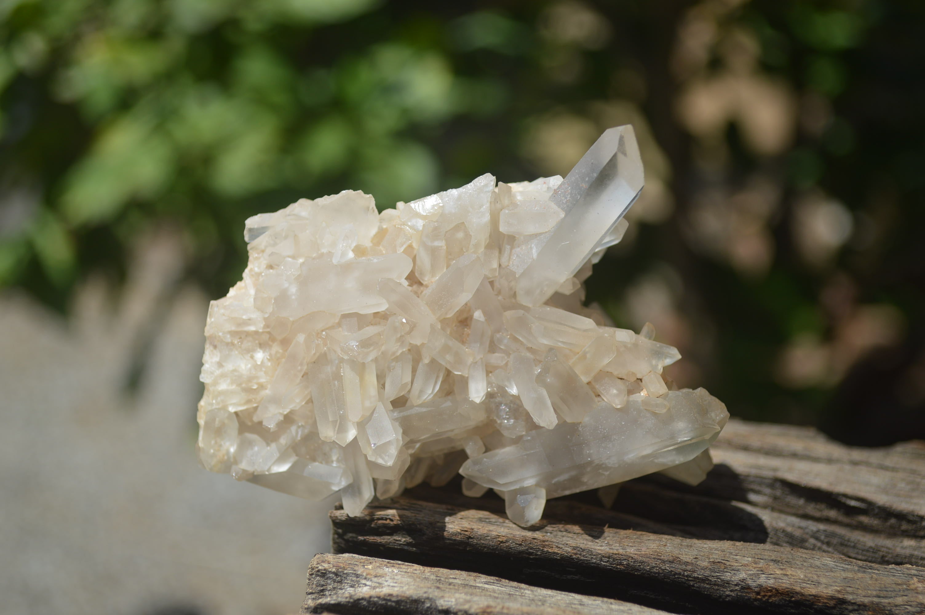 Natural Small Quartz Clusters x 13 from Madagascar - Toprock Gemstones and Minerals 