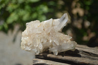 Natural Small Quartz Clusters x 13 from Madagascar - Toprock Gemstones and Minerals 