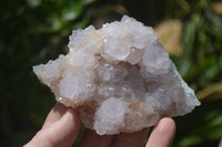 Natural Ametrine and Amethyst Spirit Quartz Clusters x 6 From Boekenhouthoek, South Africa