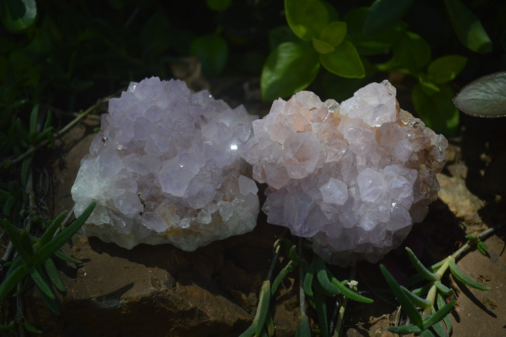 Natural Ametrine and Amethyst Spirit Quartz Clusters x 6 From Boekenhouthoek, South Africa - Toprock Gemstones and Minerals 