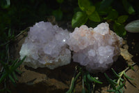 Natural Ametrine and Amethyst Spirit Quartz Clusters x 6 From Boekenhouthoek, South Africa