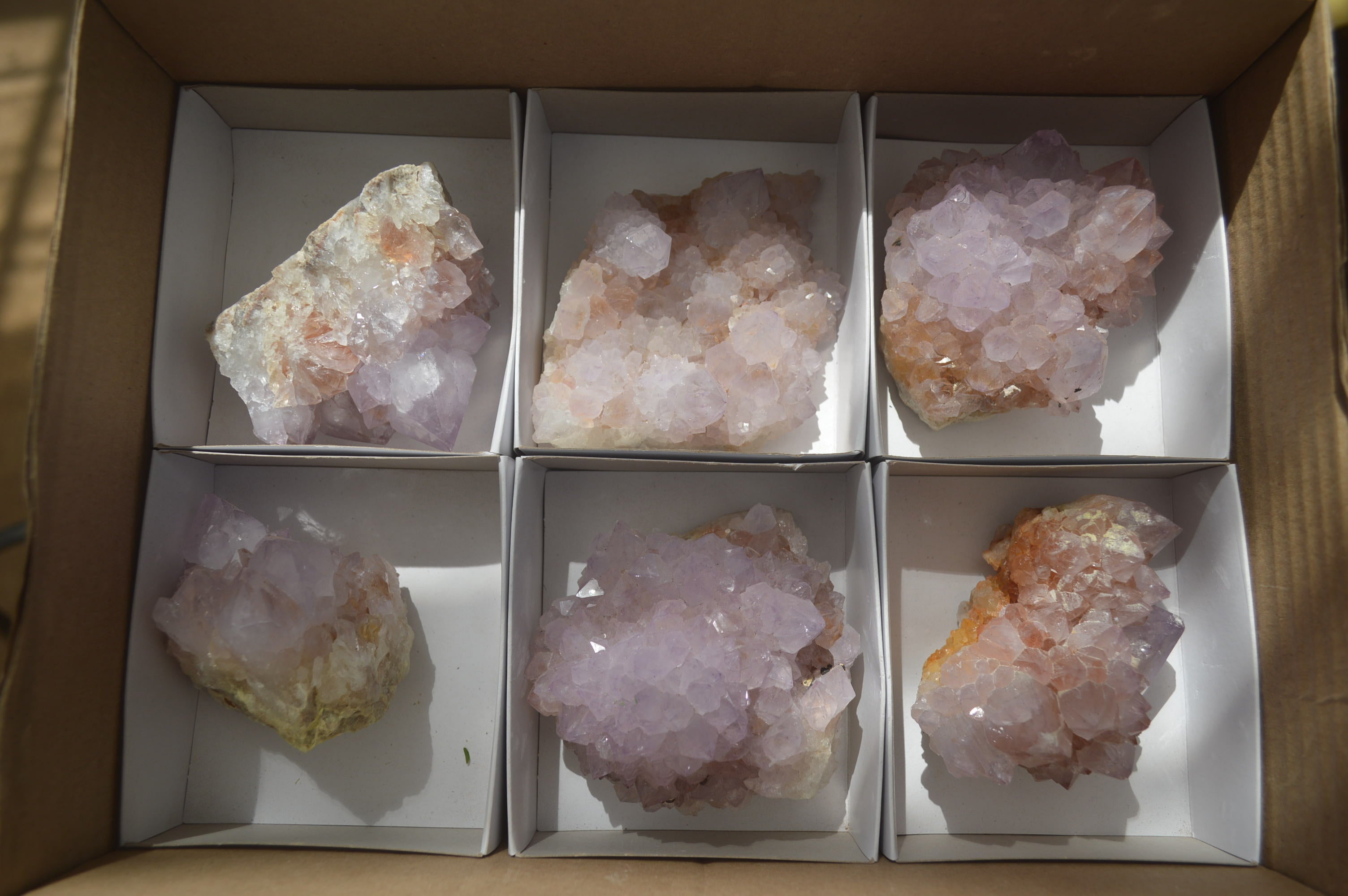 Natural Ametrine and Amethyst Spirit Quartz Clusters x 6 From Boekenhouthoek, South Africa - Toprock Gemstones and Minerals 