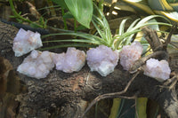 Natural Ametrine and Amethyst Spirit Quartz Clusters x 6 From Boekenhouthoek, South Africa