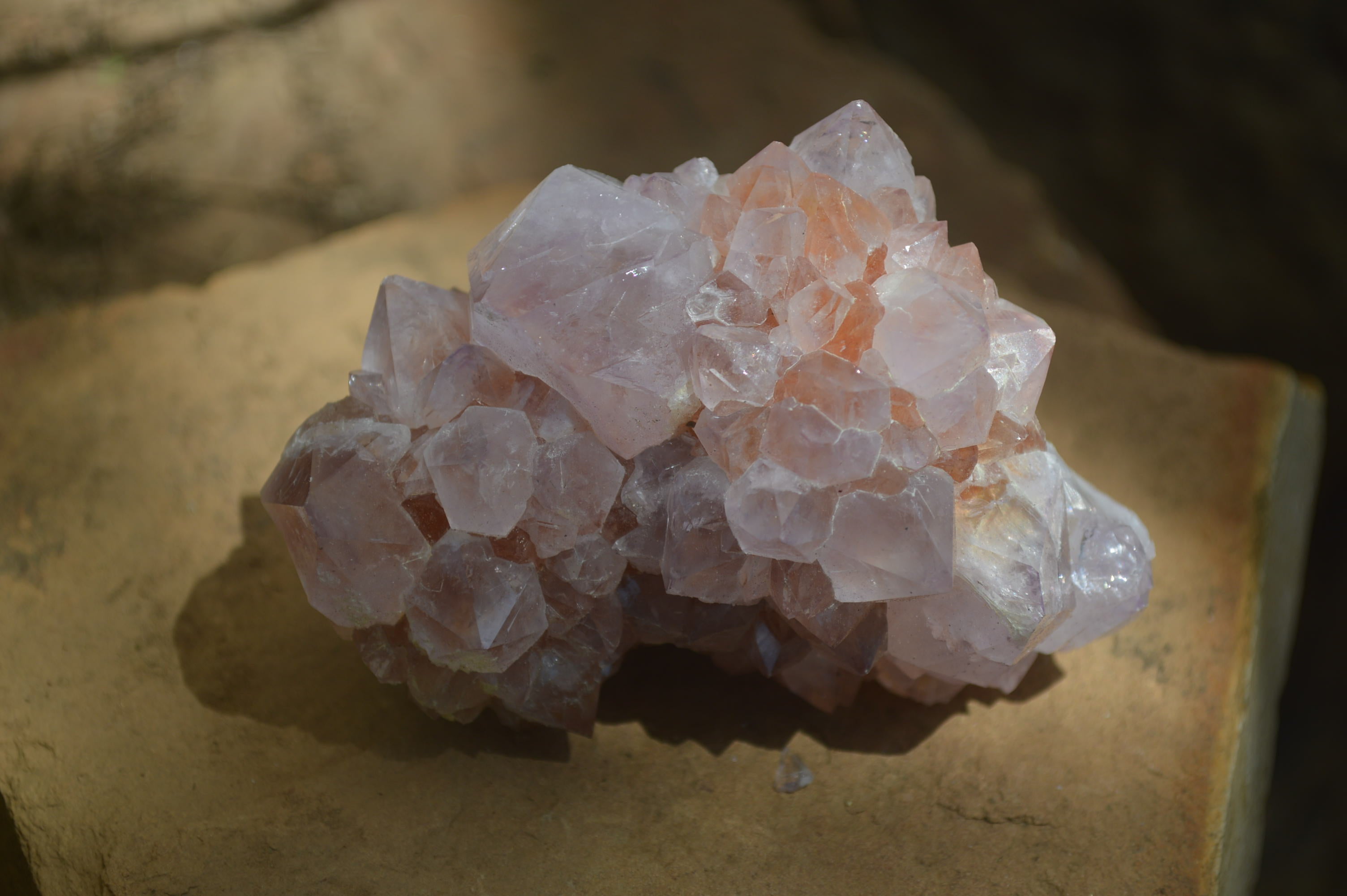 Natural Ametrine and Amethyst Spirit Quartz Clusters x 6 From Boekenhouthoek, South Africa - Toprock Gemstones and Minerals 