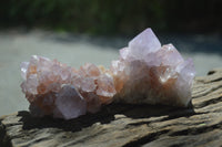 Natural Ametrine and Amethyst Spirit Quartz Clusters x 6 From Boekenhouthoek, South Africa