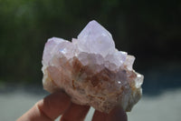 Natural Ametrine and Amethyst Spirit Quartz Clusters x 6 From Boekenhouthoek, South Africa