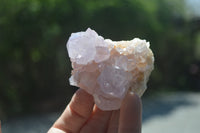 Natural Ametrine and Amethyst Spirit Quartz Clusters x 6 From Boekenhouthoek, South Africa