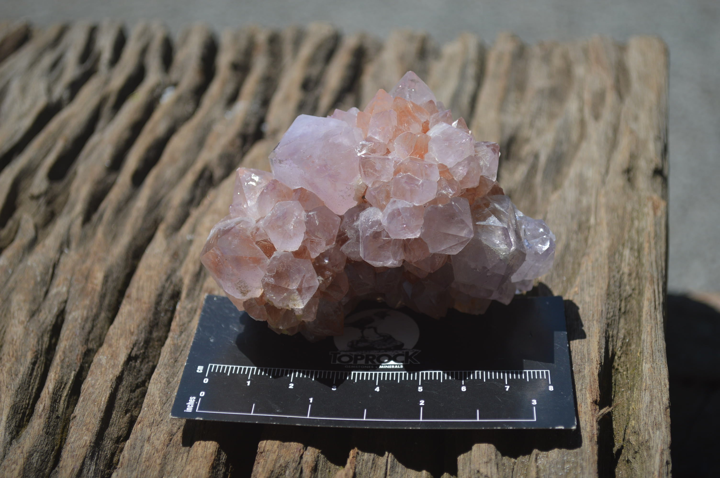 Natural Ametrine and Amethyst Spirit Quartz Clusters x 6 From Boekenhouthoek, South Africa - Toprock Gemstones and Minerals 